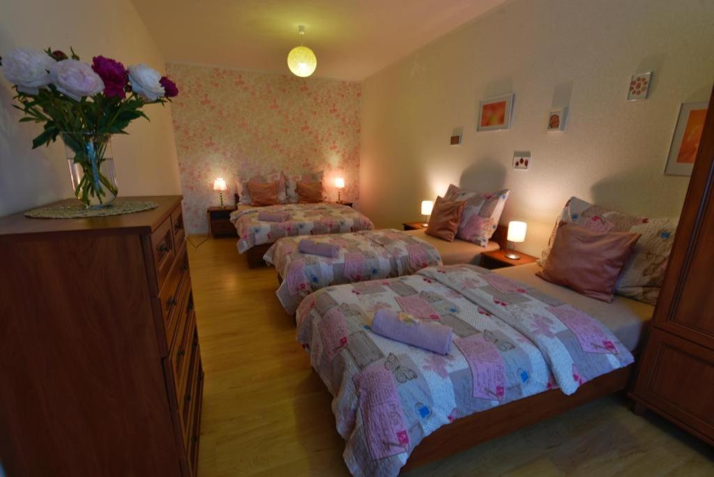 Apartmany Branickov Exterior foto